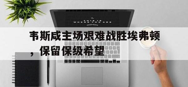 乐鱼体育棋牌-韦斯咸主场艰难战胜埃弗顿，保留保级希望