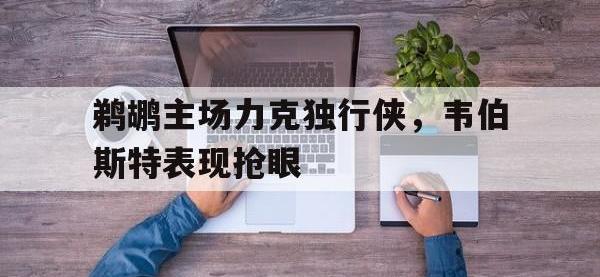 乐鱼体育棋牌-鹈鹕主场力克独行侠，韦伯斯特表现抢眼