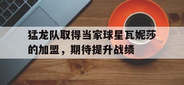 体育投注-猛龙队取得当家球星瓦妮莎的加盟，期待提升战绩